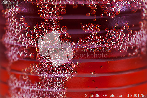 Image of cola close up