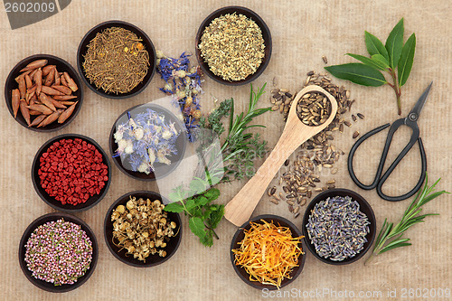 Image of Herbal Medicine