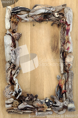 Image of Seaweed and Driftwood Border