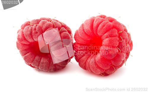 Image of Fresh raspberries