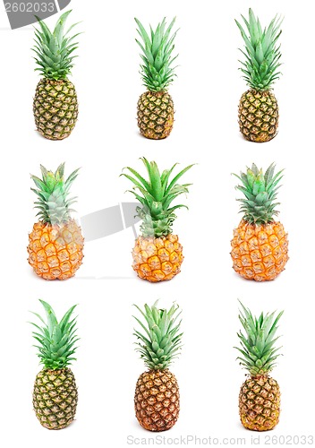 Image of Pineapple