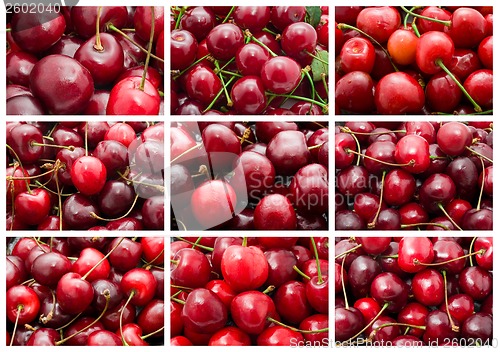 Image of Cherry