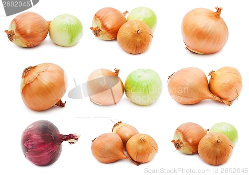 Image of Onion