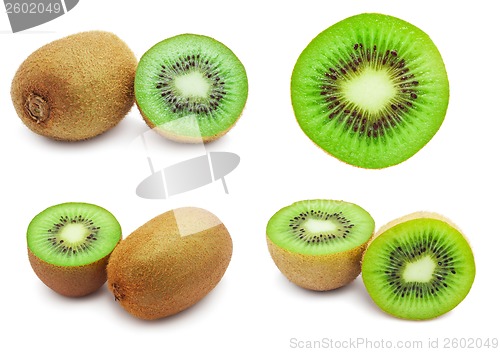 Image of Kiwi
