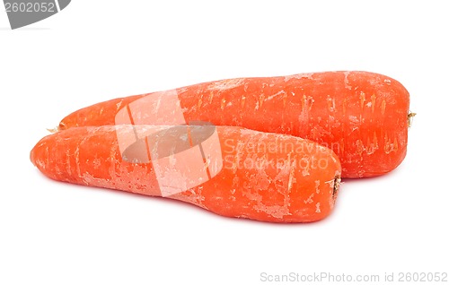 Image of Carrot