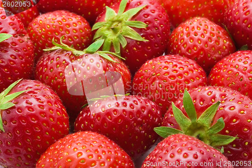 Image of Strawberries