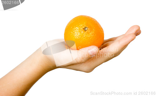 Image of tangerine on the palm of the child