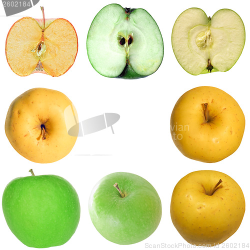 Image of Apple isolated