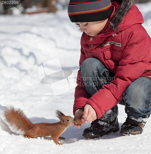 Image of Squirrel and little boy