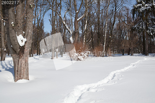 Image of City park in winter