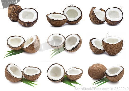 Image of Coconuts