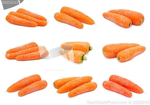 Image of Carrot