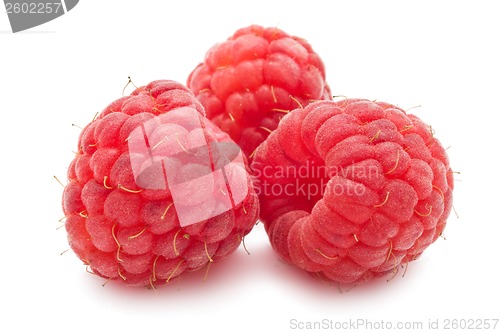 Image of Fresh raspberries