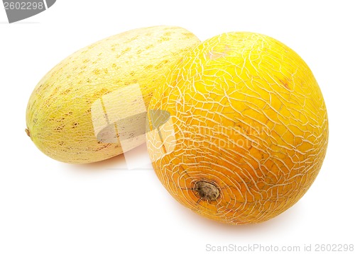 Image of Melon