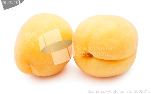 Image of Apricots