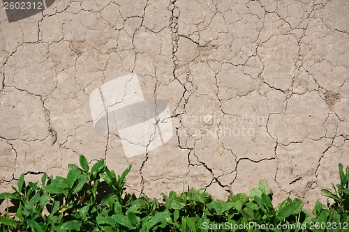 Image of Dry land