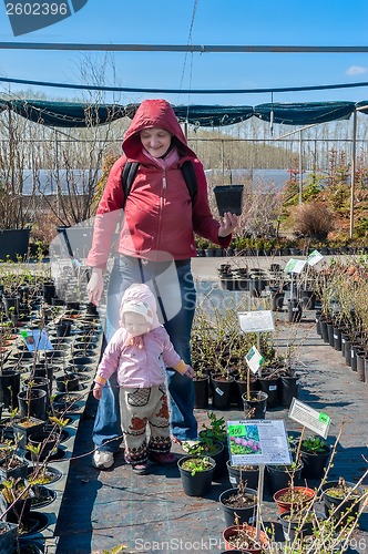 Image of Family in saplings shop