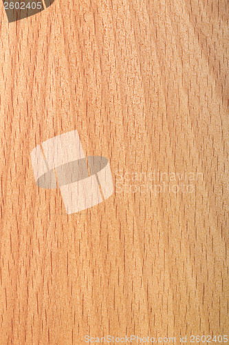 Image of laminated beech wood varnished
