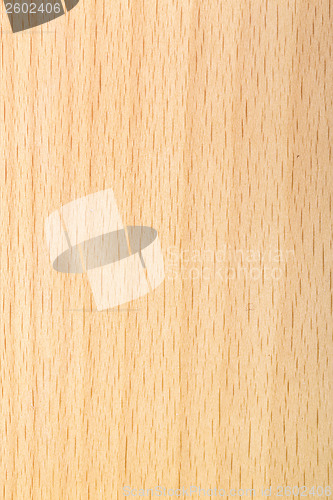 Image of laminated maple wood varnished