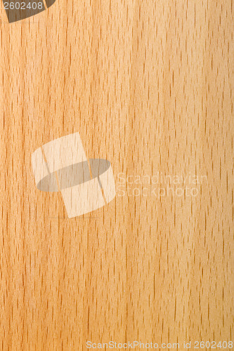 Image of laminated beech wood varnished