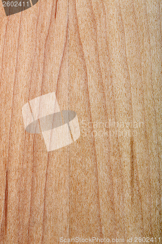 Image of laminated maple wood varnished