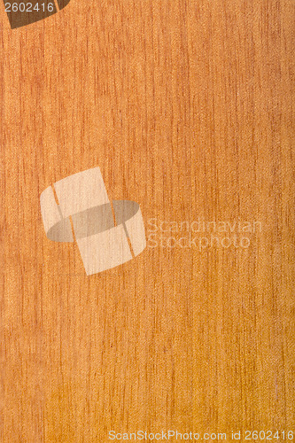 Image of laminated maple wood varnished