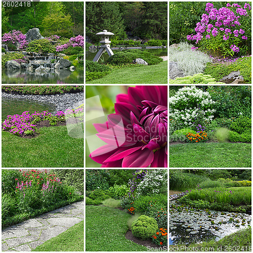 Image of Blooming summer gardens