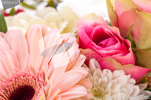 Image of Bouquet of fresh pink and white flowers