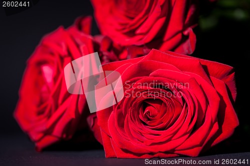 Image of beautiful red rose flower on black background