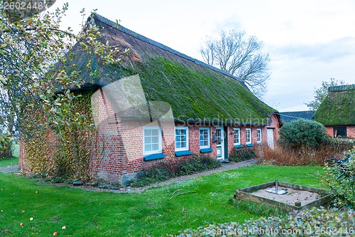 Image of Residential house with a green mossy thatch roof