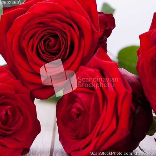 Image of beautiful red rose flower on black background