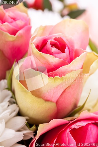 Image of Bouquet of fresh pink and white flowers