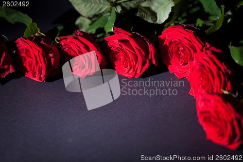 Image of beautiful red rose flower on black background