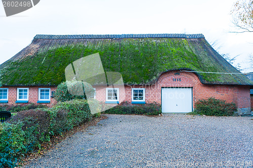 Image of Residential house with a green mossy thatch roof