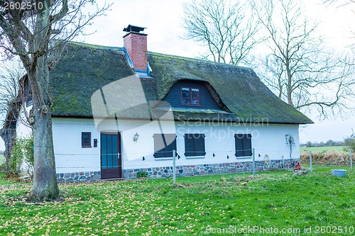 Image of Residential house with a green mossy thatch roof