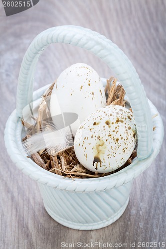 Image of Three natural blue Easter eggs in a basket