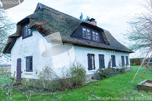 Image of Residential house with a green mossy thatch roof