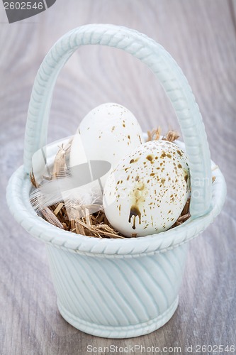 Image of Three natural blue Easter eggs in a basket