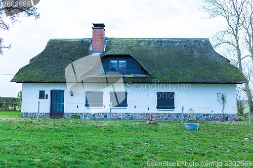 Image of Residential house with a green mossy thatch roof