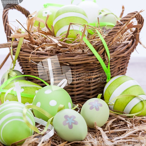 Image of Colourful green Easter eggs in straw