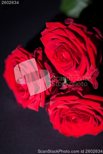 Image of beautiful red rose flower on black background