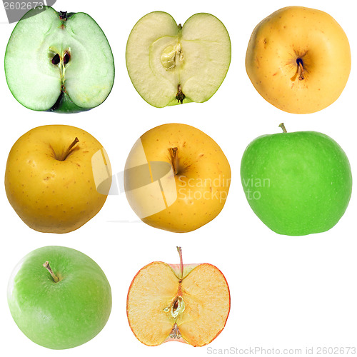 Image of Apple isolated
