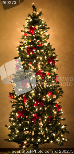 Image of Bright Christmas