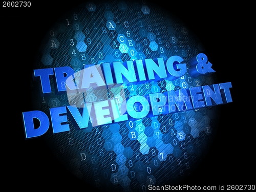 Image of Training and Development on Digital Background.