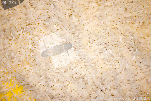 Image of Background of Rice
