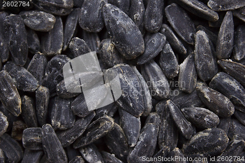 Image of Sunflower seeds