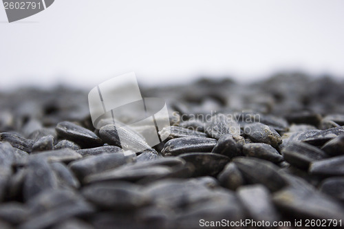 Image of Sunflower seeds