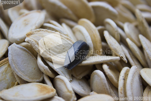 Image of Pumpkin seeds