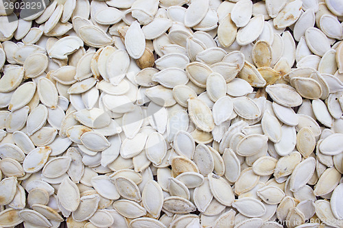 Image of Pumpkin seeds