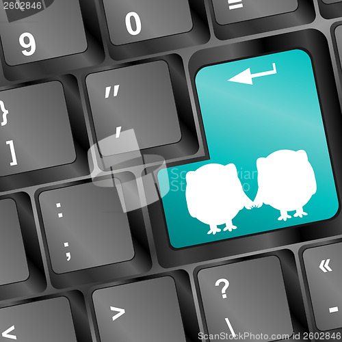 Image of owl sign on computer keyboard key button